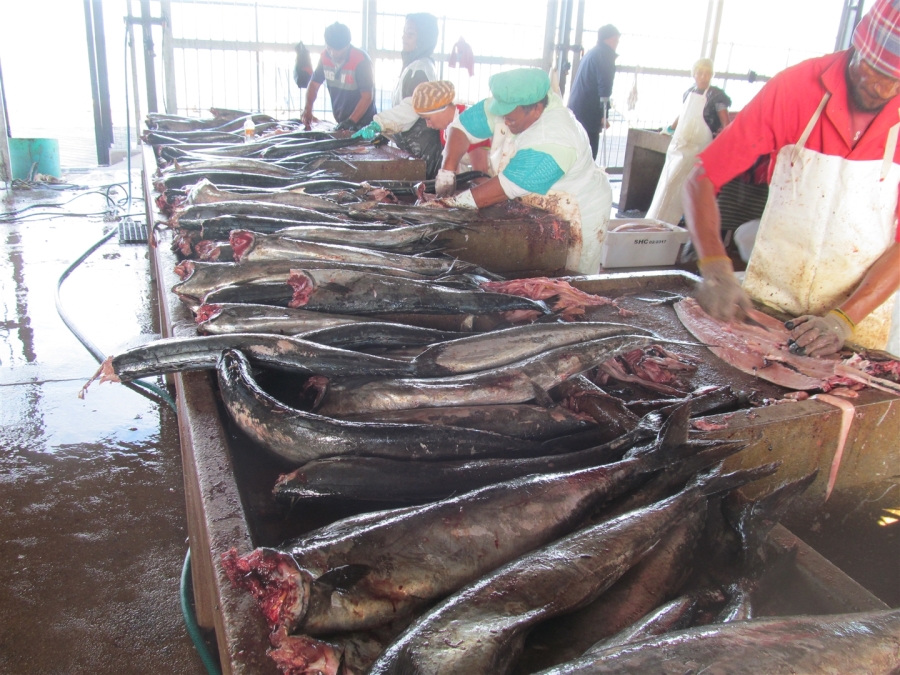 0 Bedroom Property for Sale in Britannica Heights Western Cape